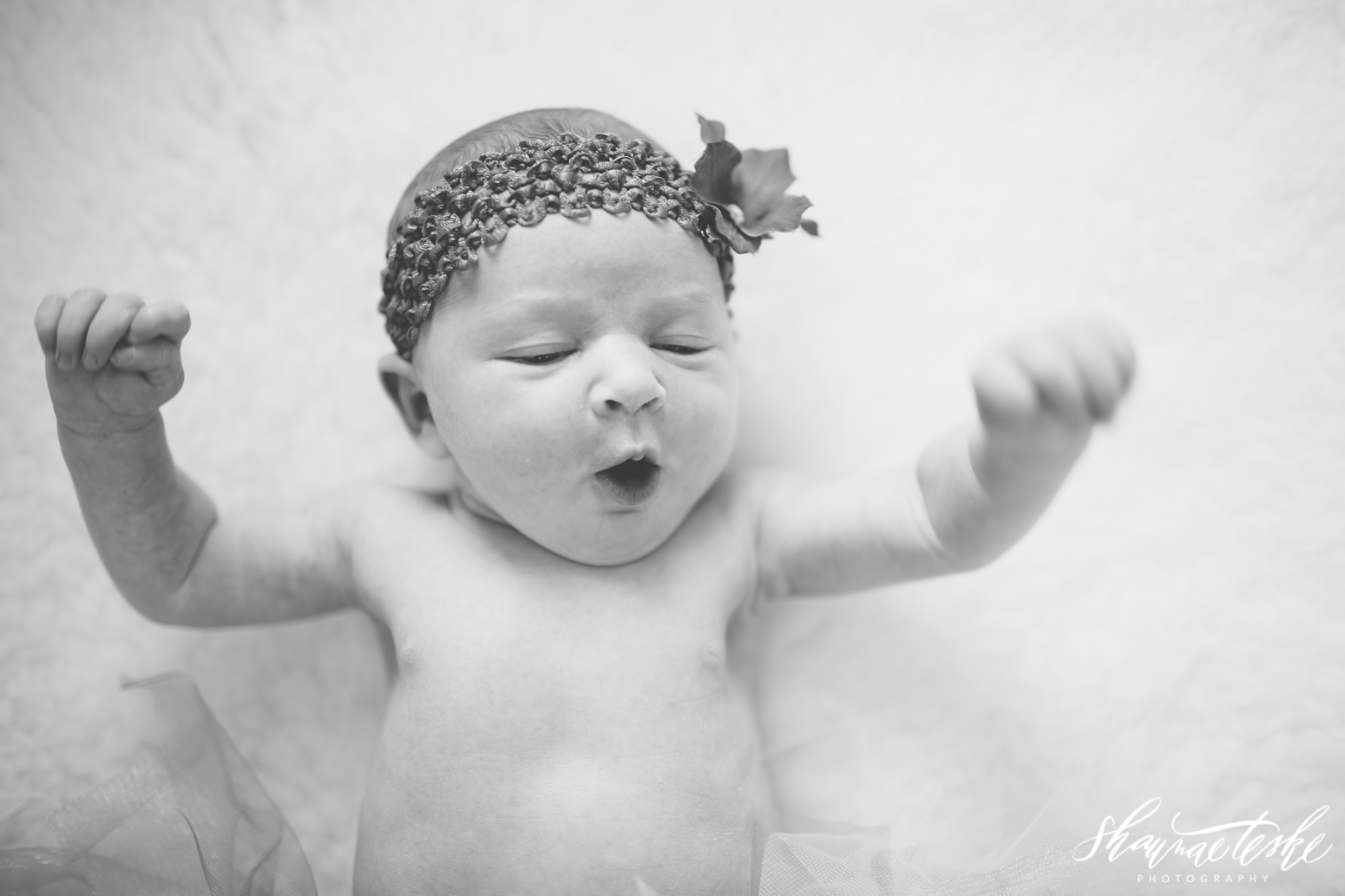 shaunae_teske_wisconsin_photographer_portrait-amelia-newborn-3