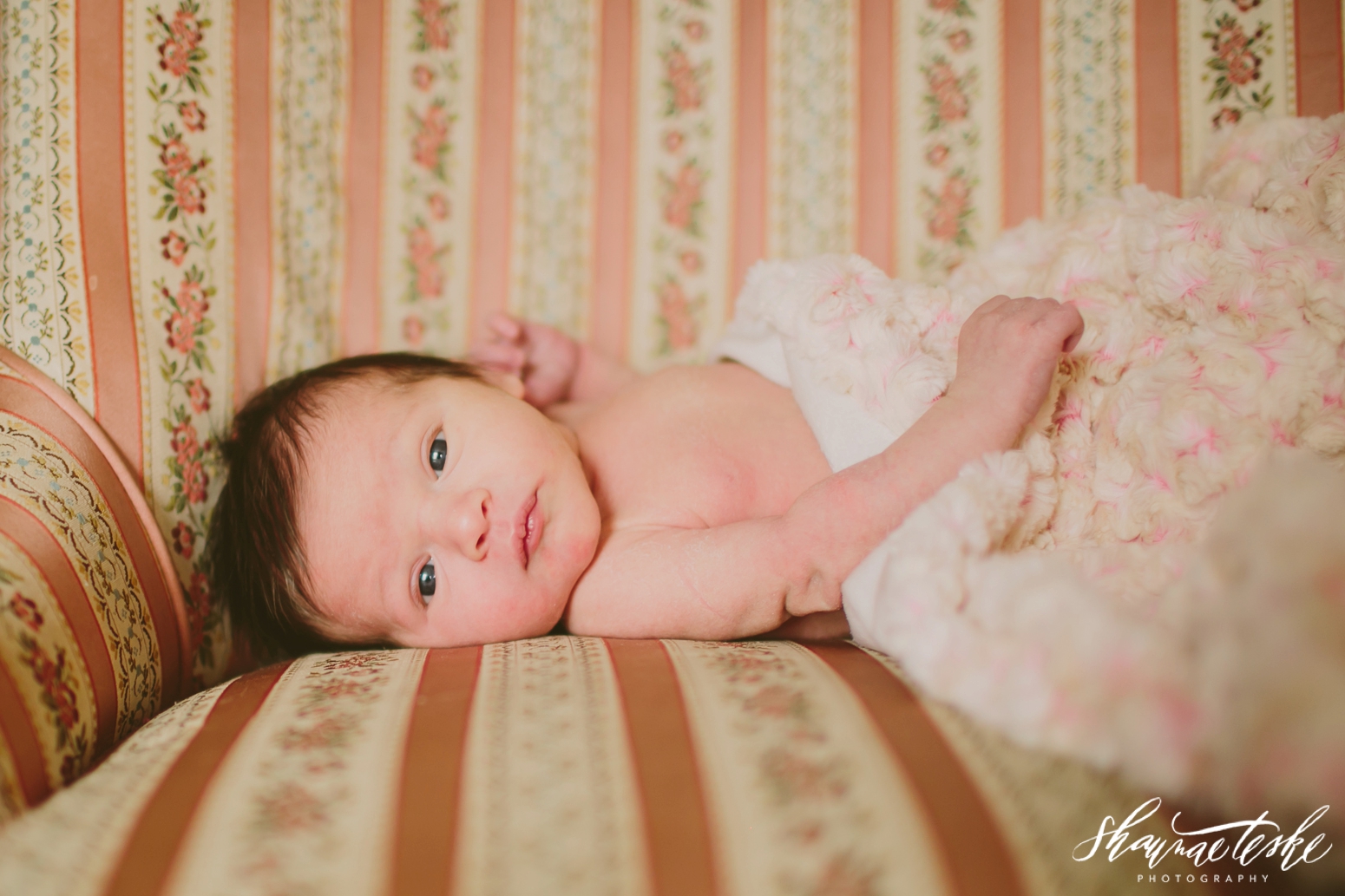 shaunae_teske_wisconsin_photographer_kinslee-newborn-13