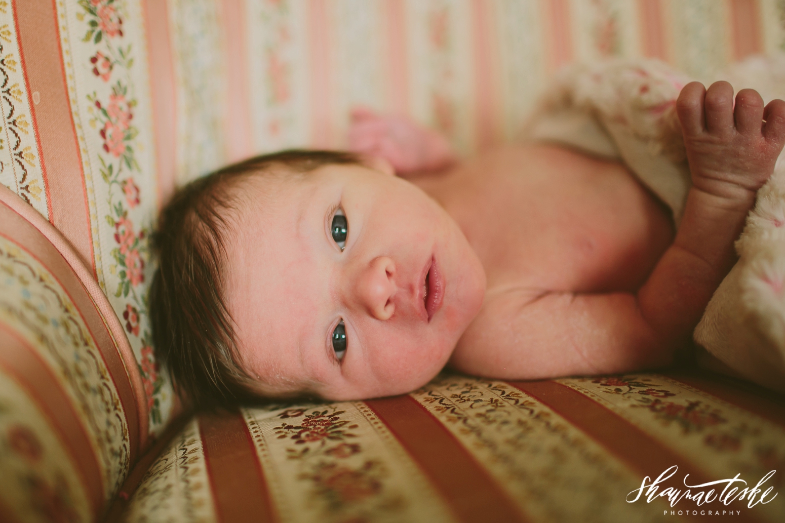 shaunae_teske_wisconsin_photographer_kinslee-newborn-21