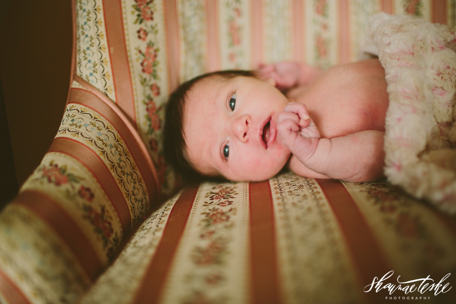 shaunae_teske_wisconsin_photographer_kinslee-newborn-24