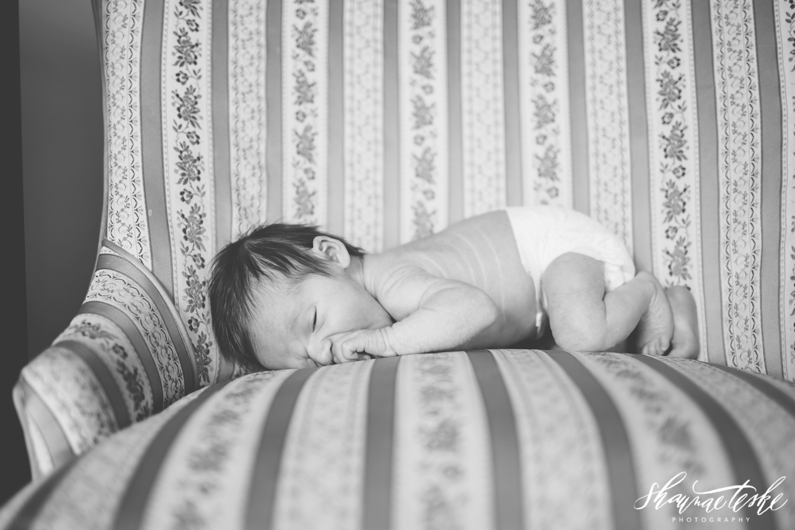 shaunae_teske_wisconsin_photographer_kinslee-newborn-9