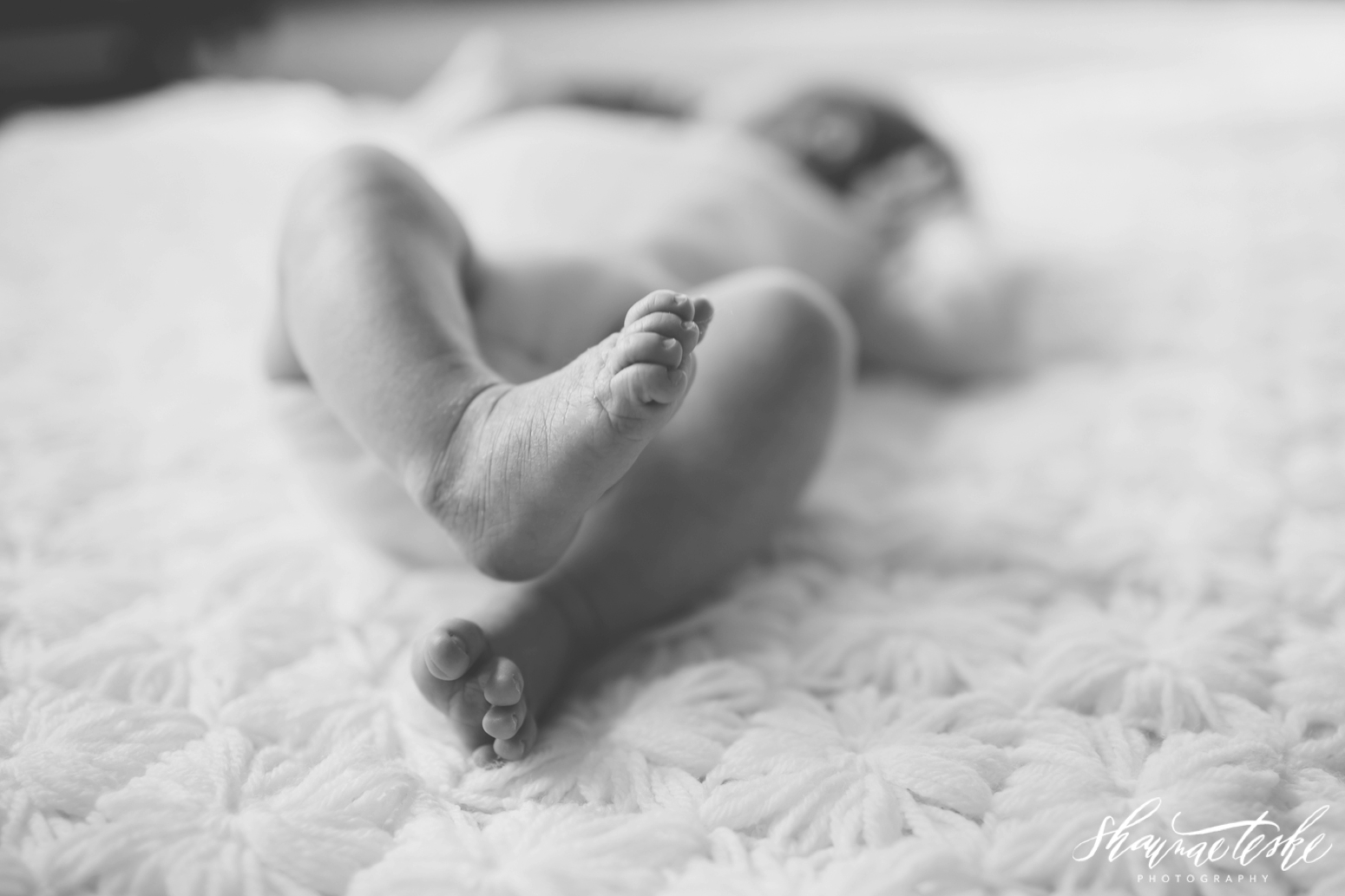 shaunae_teske_wisconsin_photographer_hazel-grace-newborn-8