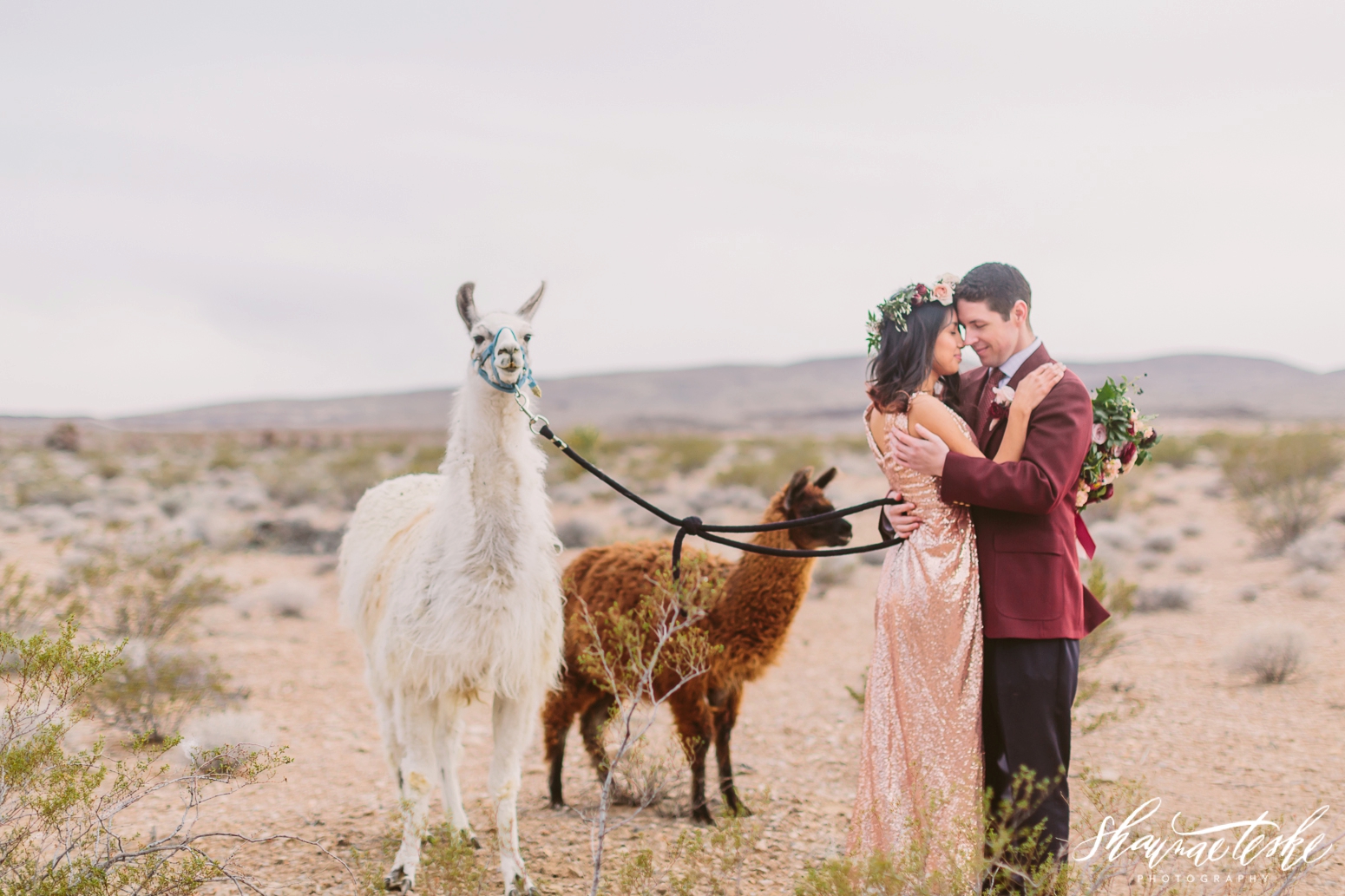 shaunae_teske_wisconsin_photographer_wedding-desert-bridal-styled-shoot-105