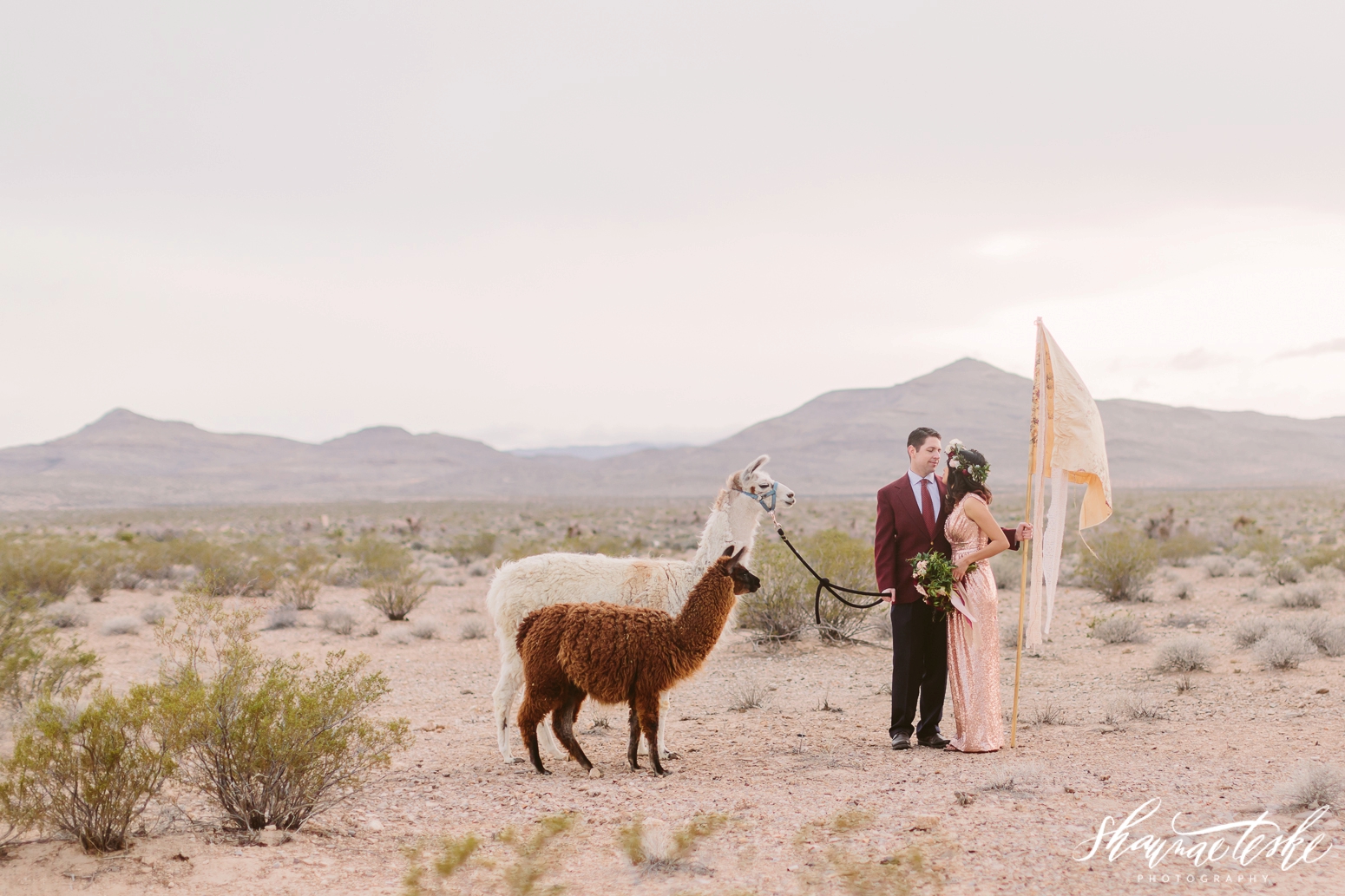 shaunae_teske_wisconsin_photographer_wedding-desert-bridal-styled-shoot-117