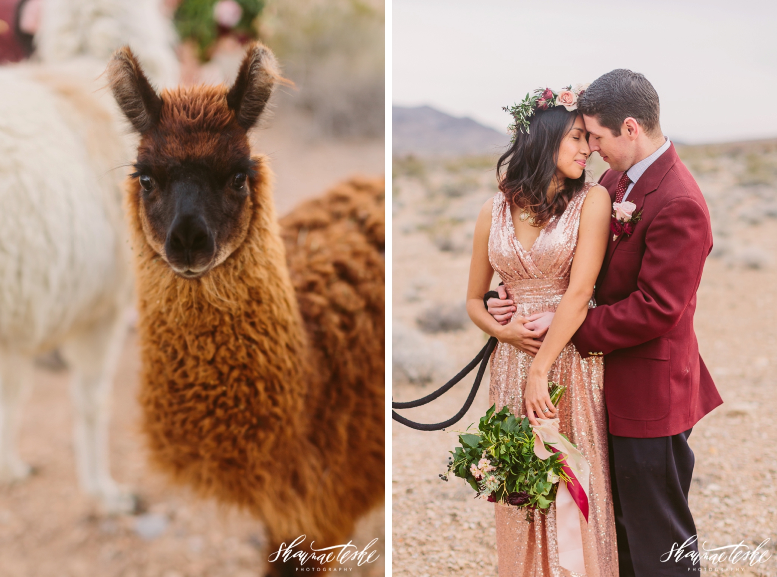shaunae_teske_wisconsin_photographer_wedding-desert-bridal-styled-shoot-121