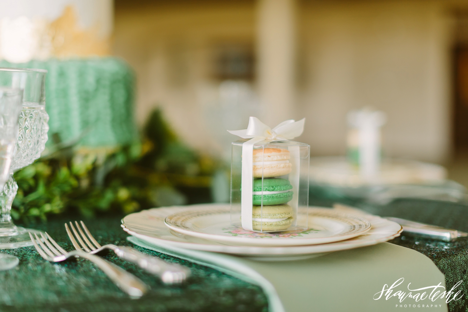 wisconsin_photographer_wedding-shaunae-teske-jade-emerald-styled-bridal-shoot-oneida-27