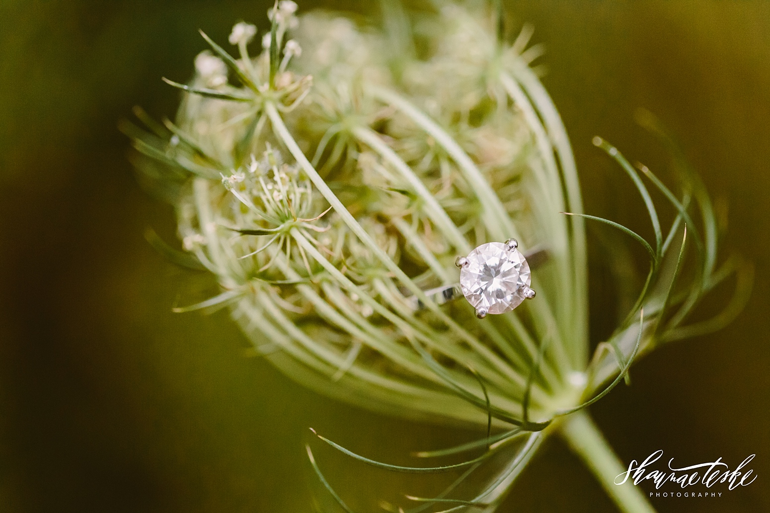 wisconsin-engagement-photographer-high-cliff-state-park-tiffany-chris-125