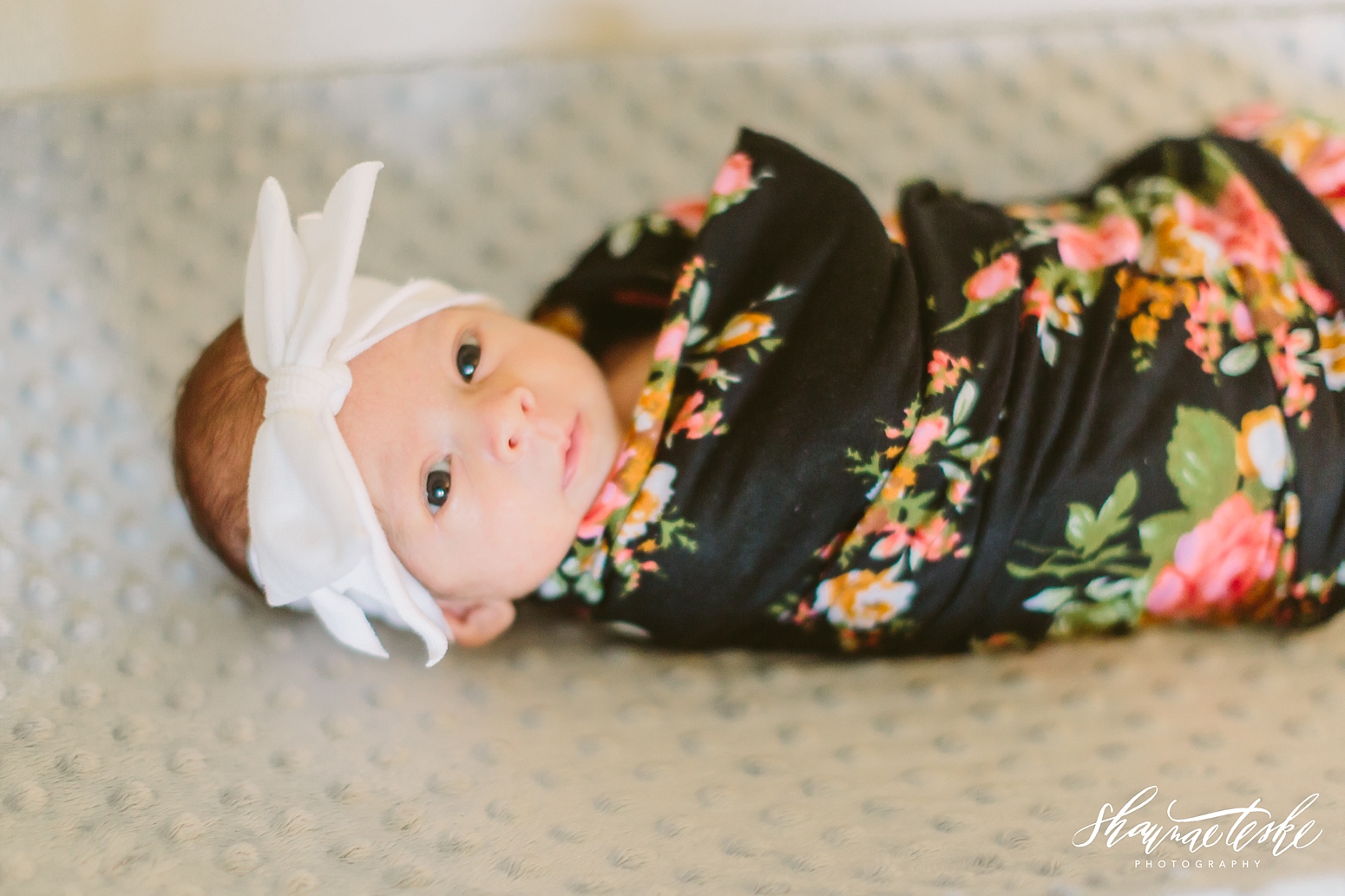 wisconsin-newborn-photographer-shaunae-teske-at-home-session-rosie-tara-14