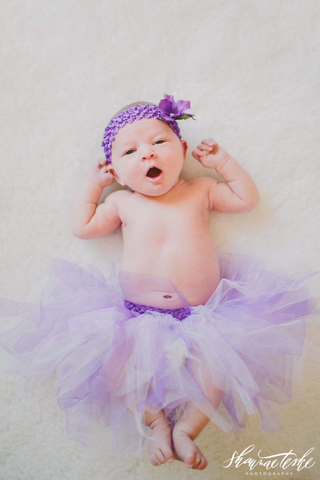 shaunae_teske_wisconsin_photographer_portrait-amelia-newborn-1