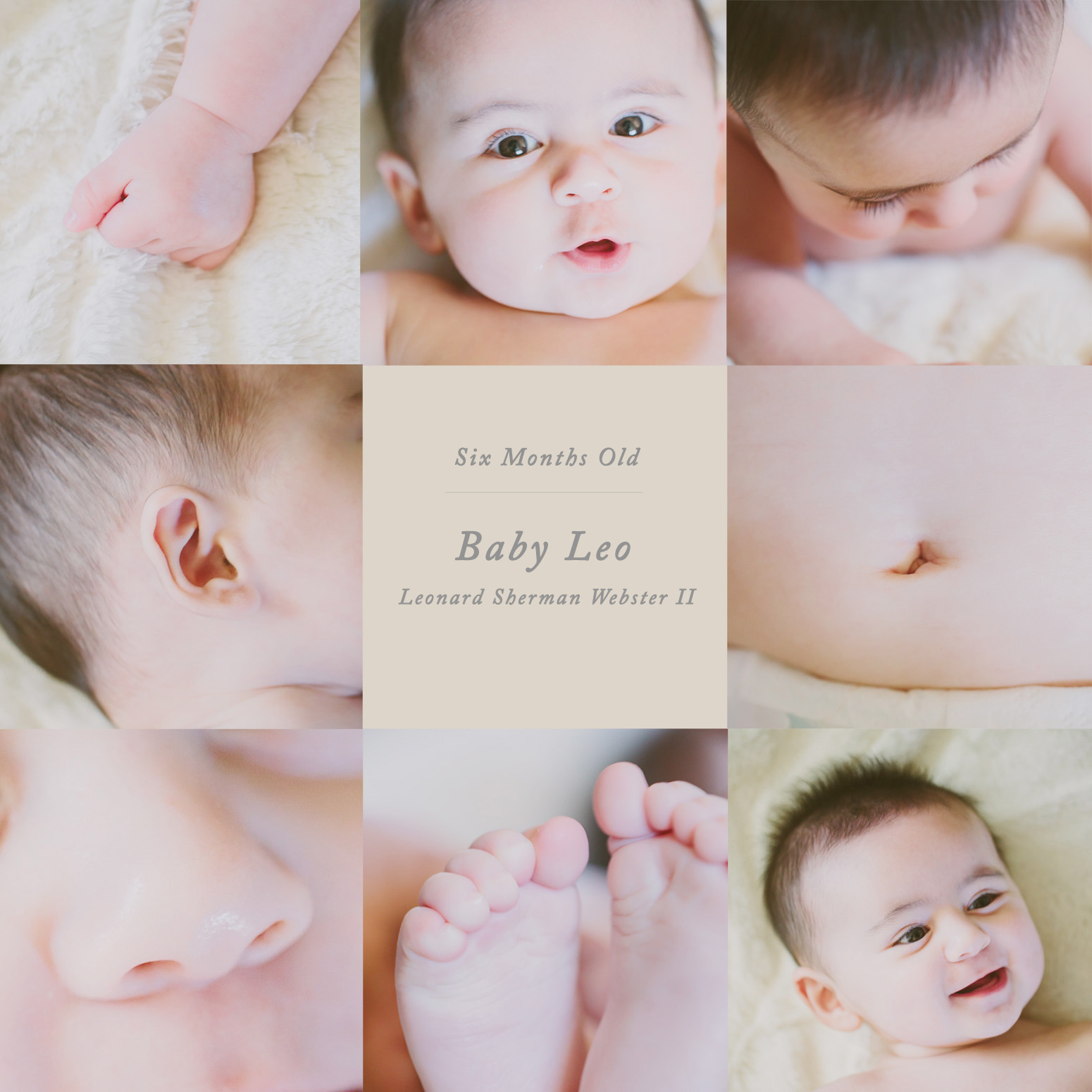 shaunae_teske_wisconsin_photographer_baby-six-month-charlie-leo-37