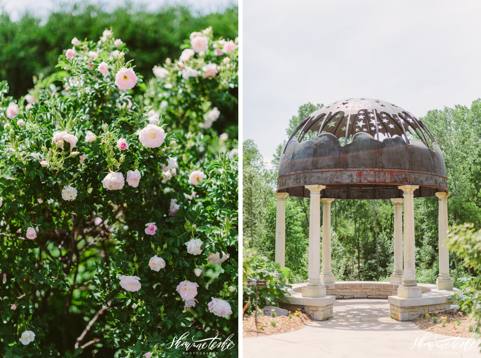 wisconsin_photographer_wedding-shaunae-teske-green-bay-botanical-garden-lacey-matt-77