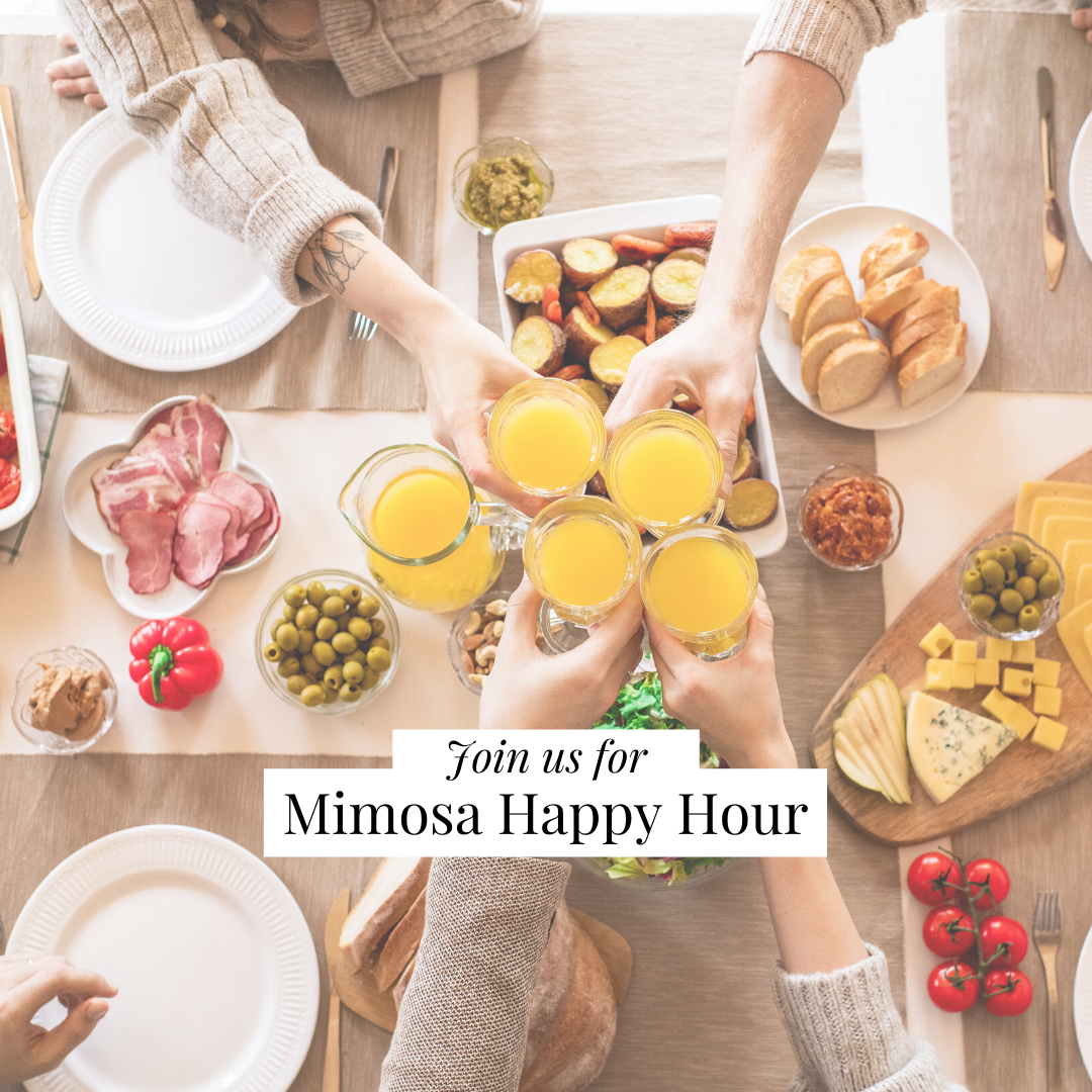 virtual happy hour small business owners to learn created by wisconsin photographer shaunae teske